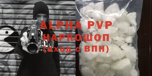 дмт Богданович