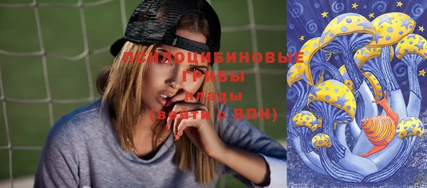 кокс Няндома