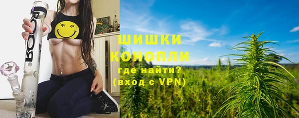 стафф Бронницы