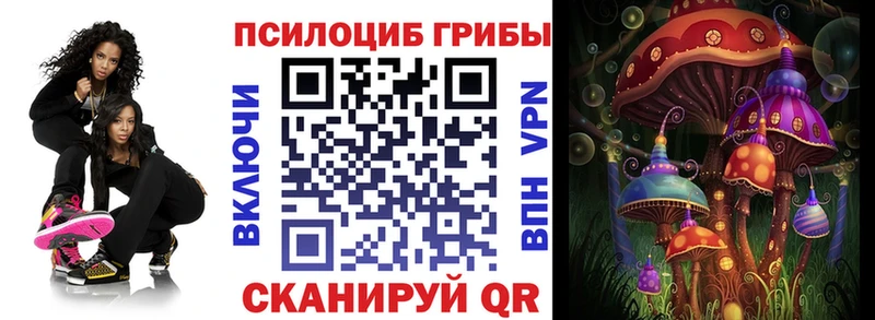 Галлюциногенные грибы мицелий  Гусь-Хрустальный 